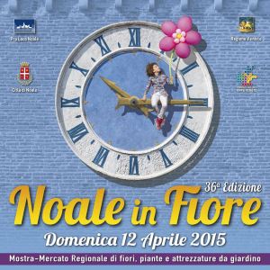 locandina noale in fiore