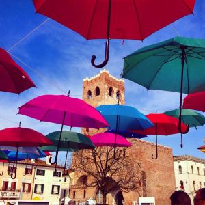 11150230_10206439769972505_5217179442960306456_n