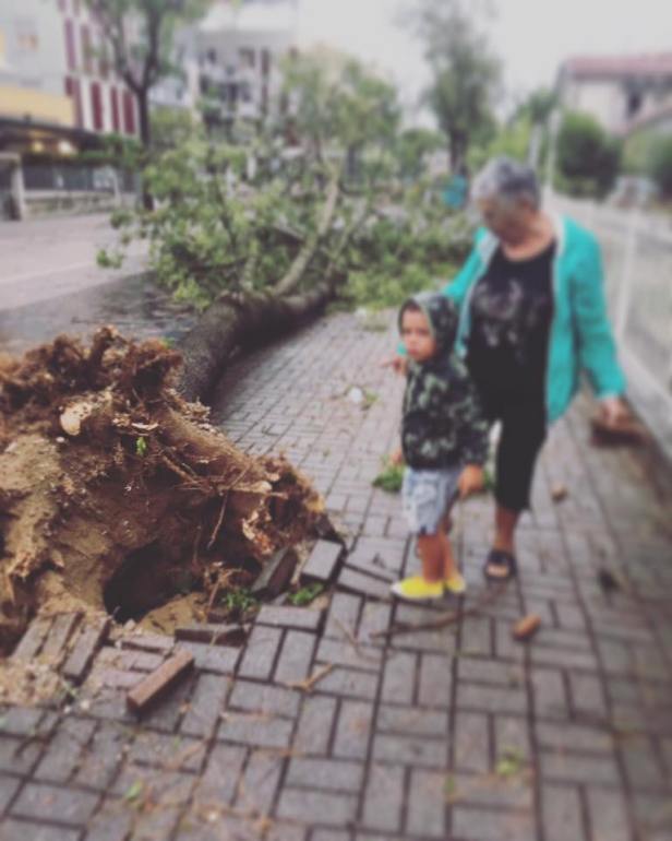 20799479_10213917048379792_1615599530492095974_n